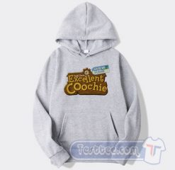 Cheap Yeah I Have Excellent Coochie Hoodie